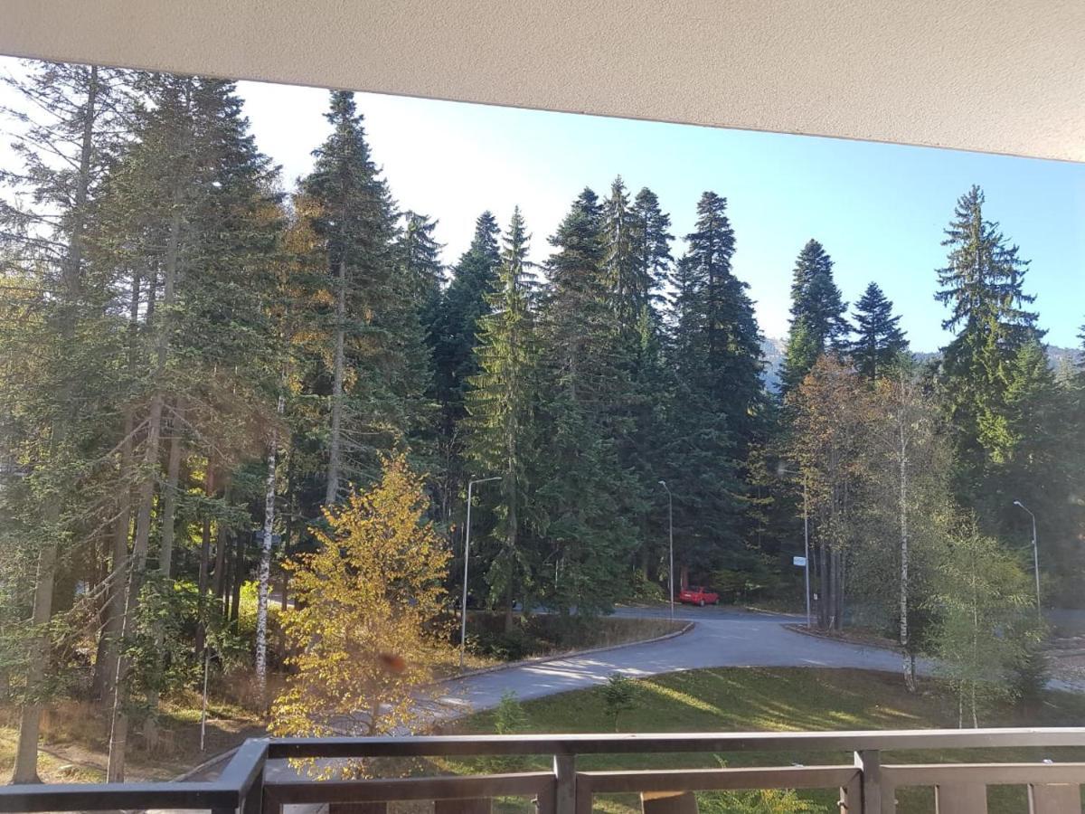 Apartments In Borovets Gardens Exteriör bild